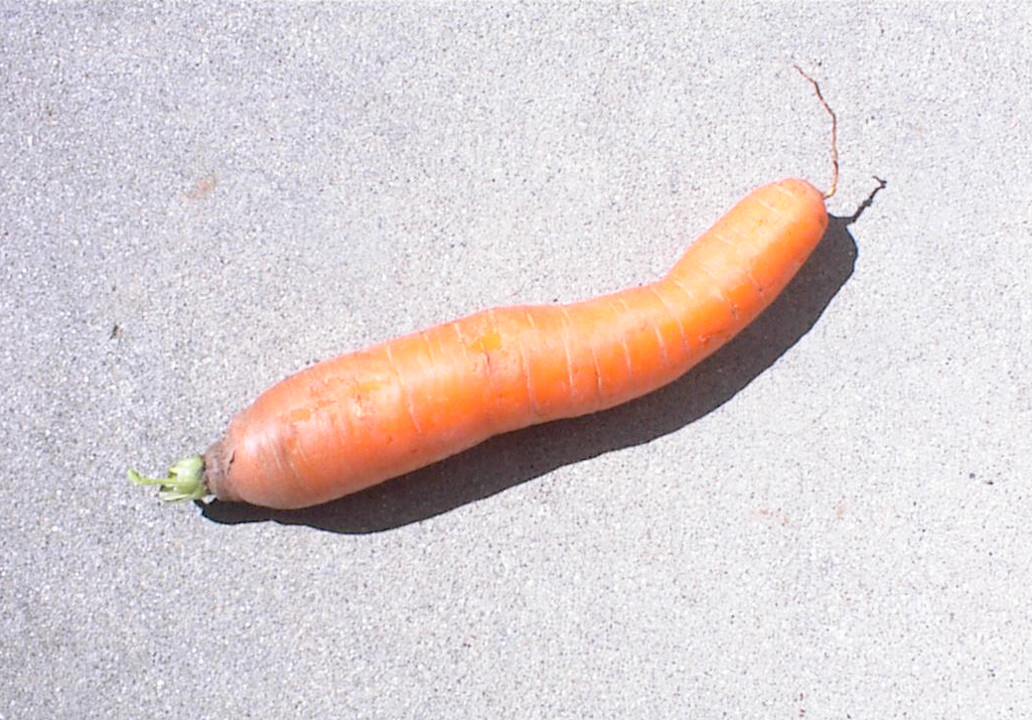 Stimulus_Package_Carrot